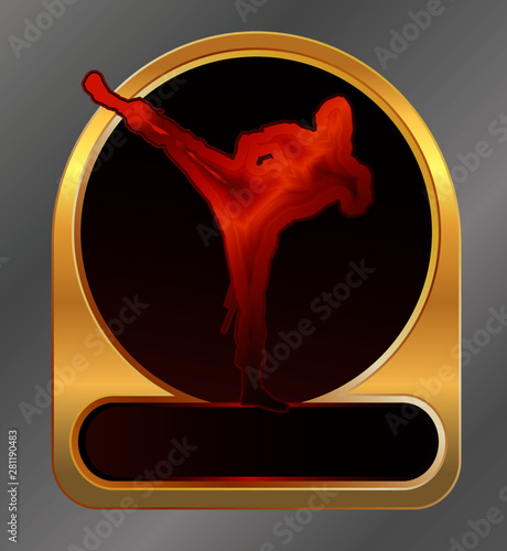 Representatives of martial arts perform spectacular stunts and blows.