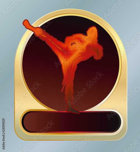 Representatives of martial arts perform spectacular stunts and blows.