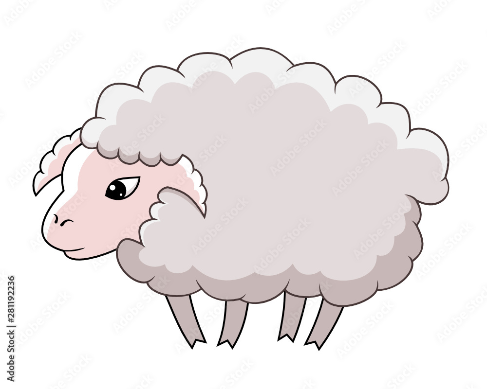 Cartoon sheep on a white background. Vector illustration. Cartoon sheep on a white background. Vector illustration.