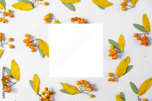 Autumn creative composition. Yellow leaves, rowan and white frame on gray background. Autumn, fall, halloween, thanksgiving day concept. Flat lay, top view, copy space