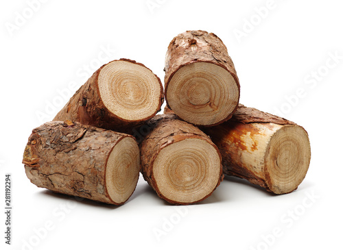 Pine logs on white background