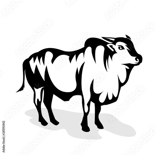 bull art vector logo design