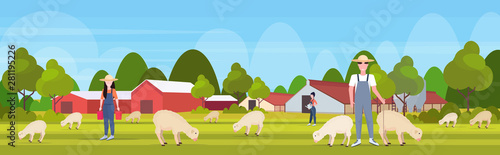 shepherd with stick herding flock of white sheep farmers team breeding sheep eco farming wool farm concept farmland countryside landscape flat full length horizontal