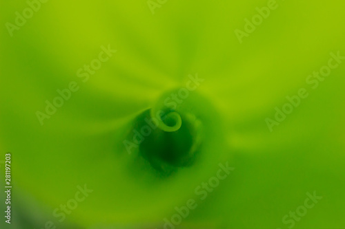green leaf texture background.