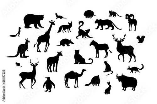 Set of animal silhouettes. Armadillo camel deer echidna impala numbat okapi quoll raccoon urial vole weasel xerus lemur