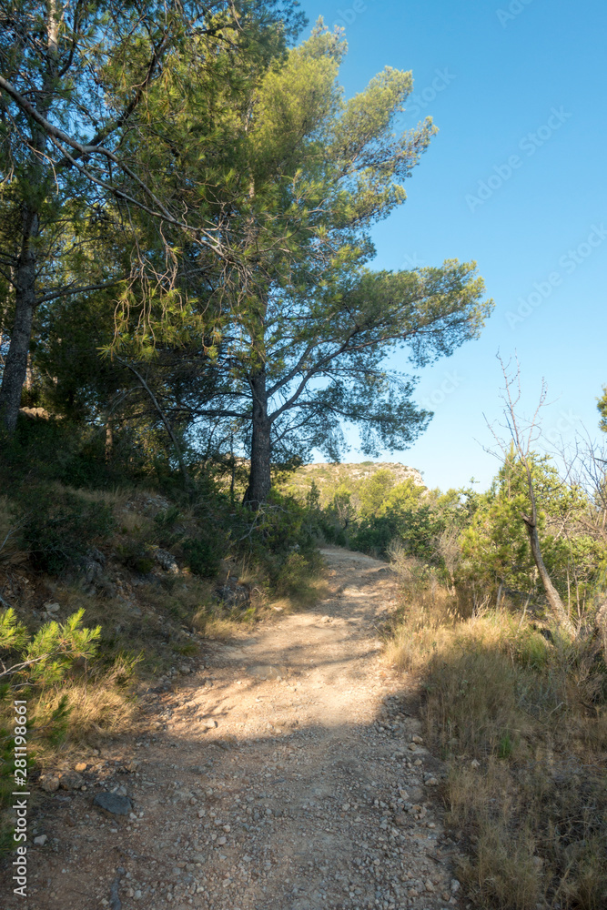 The desert of the palms in benicasim, Costa azahar The desert of the palms in benicasim, Costa azahar