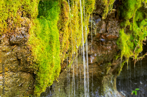 Ecology and nature. The source of clean drinking spring water among stone rocks and moist fresh green moss. Spring "Wailing Wall" in the Saratov region village Gremyachka
