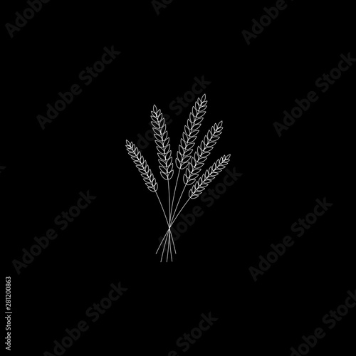 vector illustration of wheat, rye or barley ears with whole grain, line wheat, rye or barley crop harvest symbol or icon isolated on black background.
