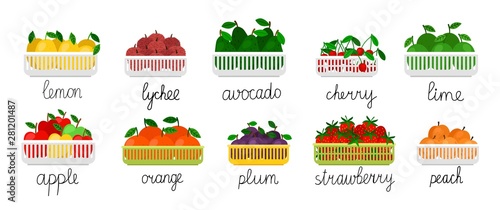 Fruits in containers vector collection. Fruits and berries illustration