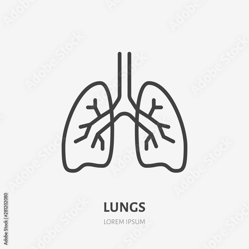 Lungs flat line icon. Vector thin pictogram of human internal organ, outline illustration for pulmonary clinic