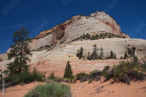 Zion National Park