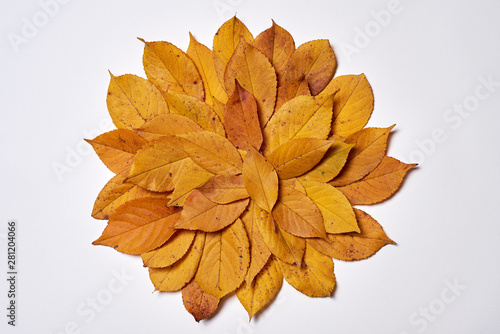 Autumn composition made of yellow leaves on white background. Fall concept. Autumn thanksgiving texture. Flat lay, top view, copy space