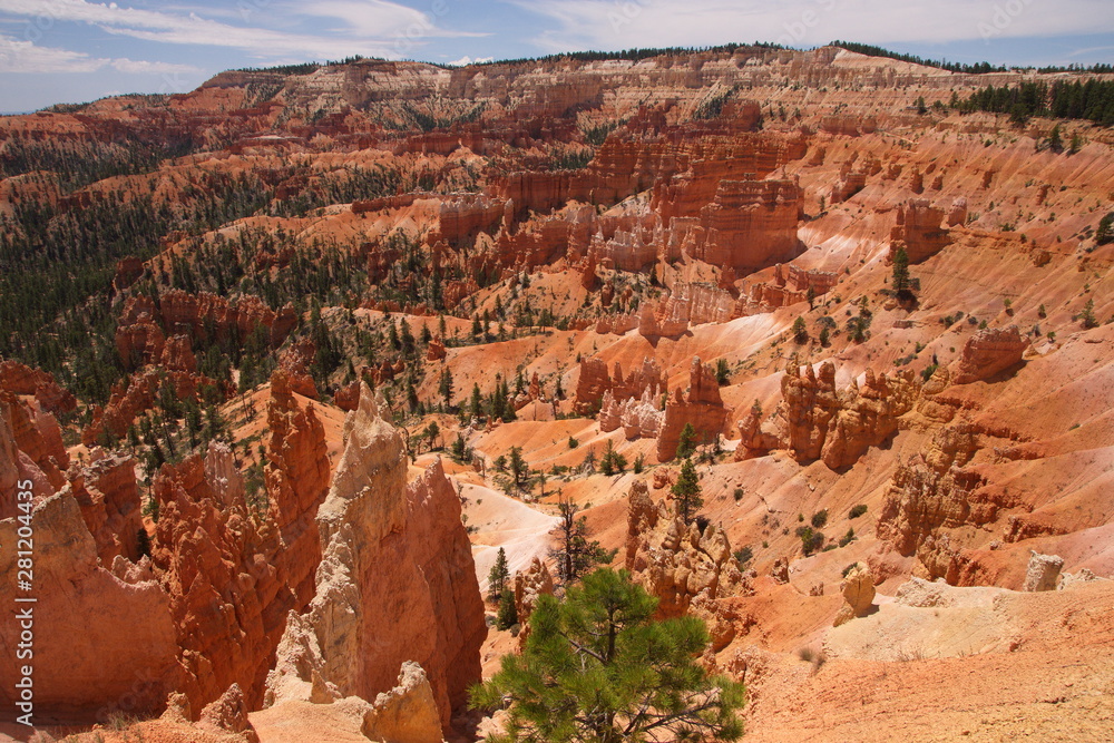 Bryce National Park