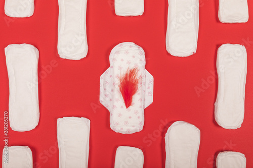 Sanitary towel with red fur