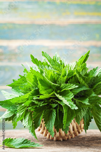 Young nettle leaves in basket on wooden rustic background, stinging nettles, urtica.