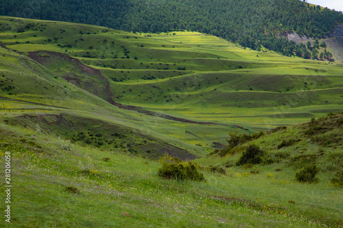 Mountain landscape beautiful green mountains with Alpine lush meadows cloudy sky background