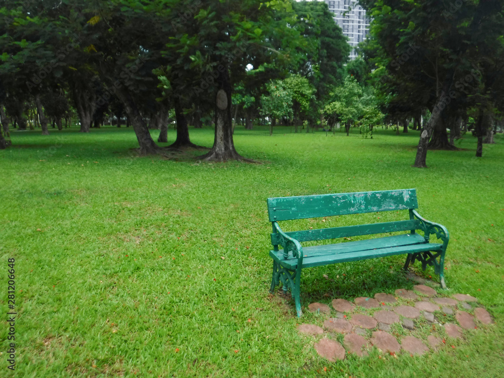 The bench that is resting in the garden has a green tree in the background. The bench that is resting in the garden has a green tree in the background.