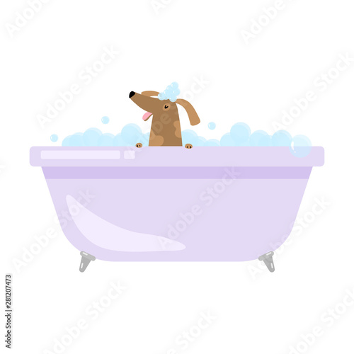 Cute funny home dog is taking bath in bathtub
