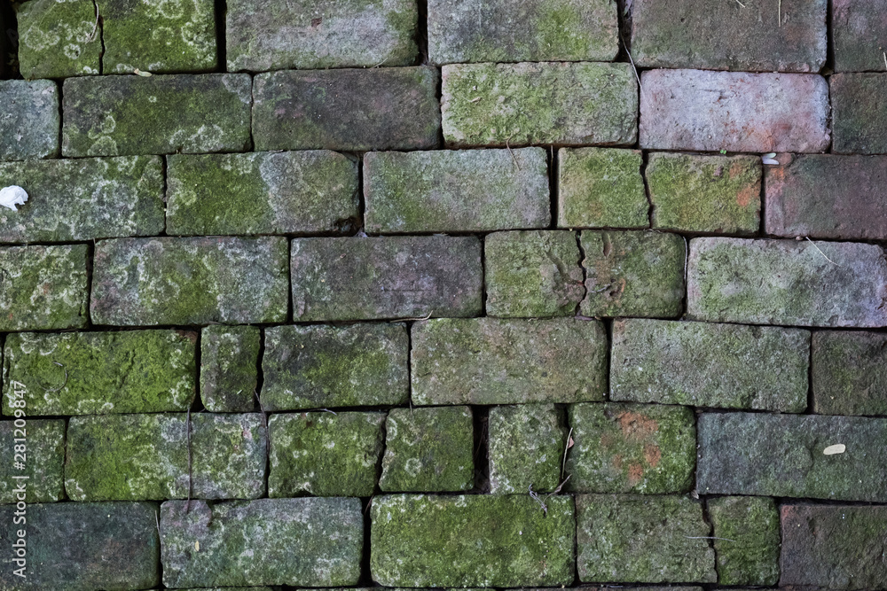 Fototapeta premium Exterior brick wall weathered.Brick floor with green lichen.