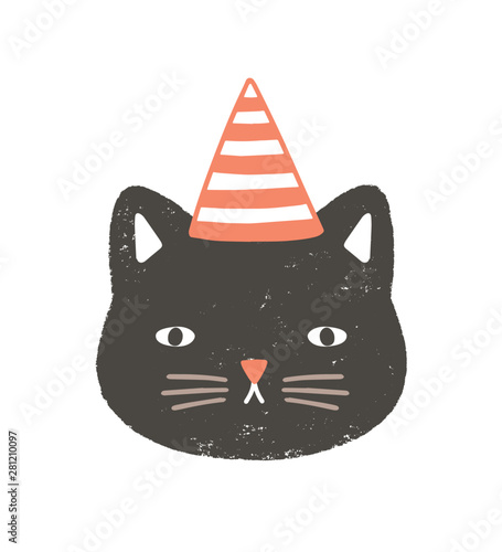 Lovely face or head of cat wearing party hat for birthday celebration