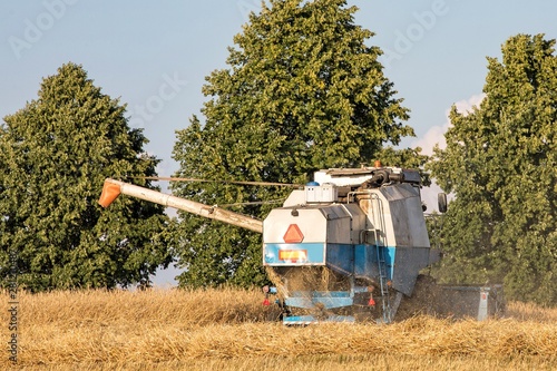 Kombajn pracujący na polu i zbierający żyto, zboże