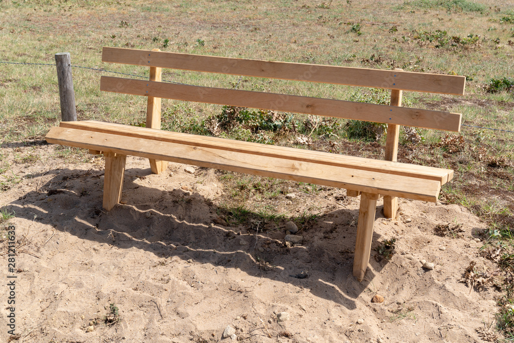 new wooden bench in pine wood on sea coast beach