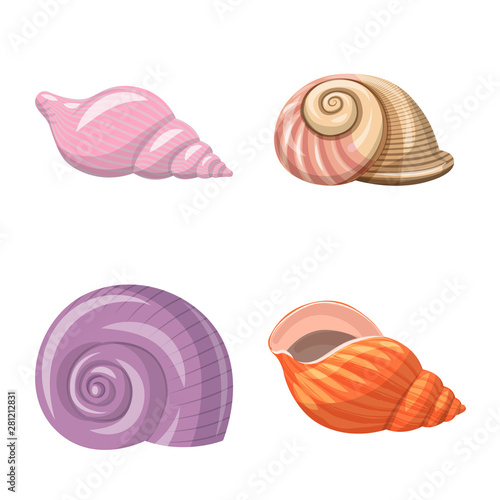 Isolated object of seashell and mollusk sign. Set of seashell and seafood vector icon for stock.