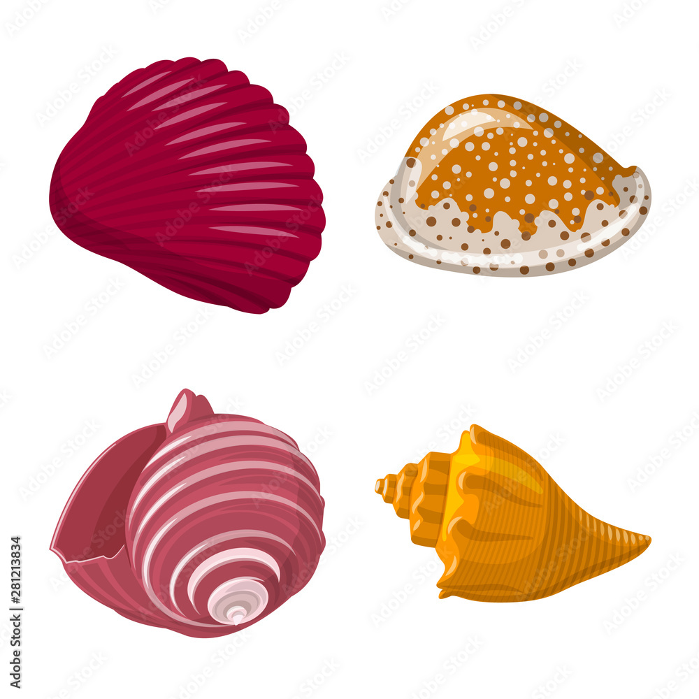 Fototapeta premium Vector illustration of seashell and mollusk symbol. Collection of seashell and seafood stock vector illustration.