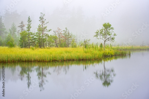 Misty morning at a lake in a woodland with water reflections