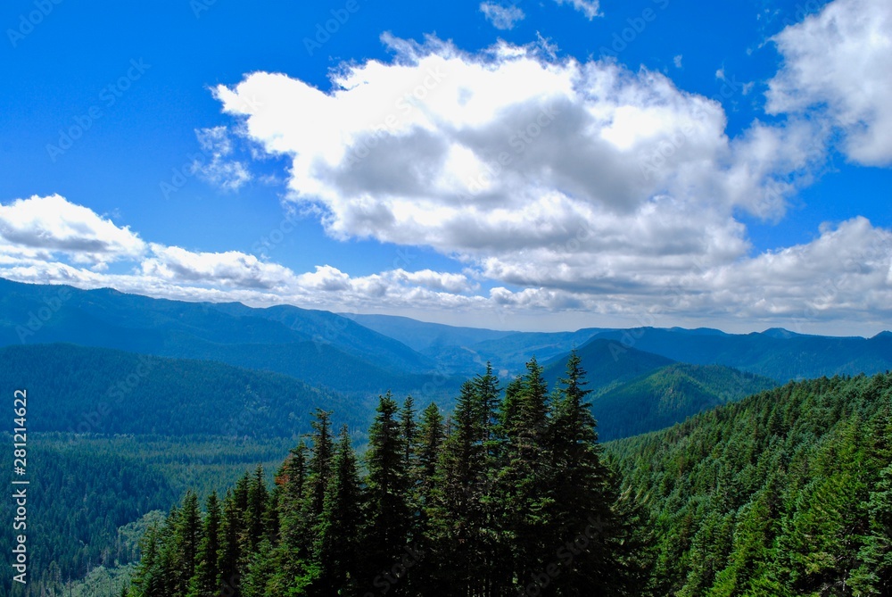 Mt. Hood National Forest vista 2