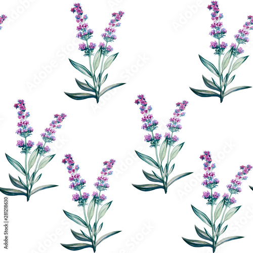 Lavender flower water color art illustration 