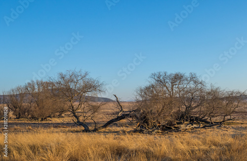 Winter farm landscape in the kwaZulu-Natal Midlands region of South Africa image with copy space