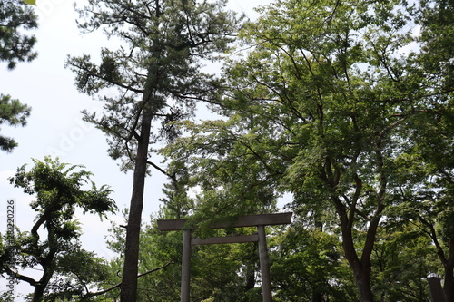 愛知　風景
