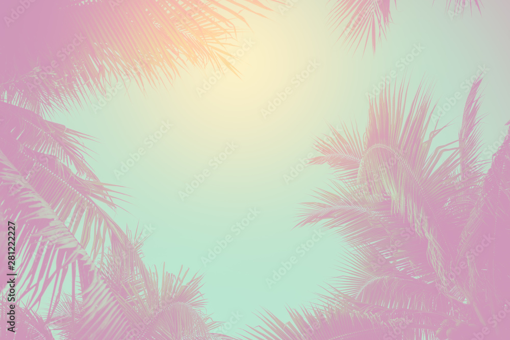Tropical palm leaves on pastel background for Summer concept and Spring lifestyle with copy space. Tropical palm leaves on pastel background for Summer concept and Spring lifestyle with copy space.