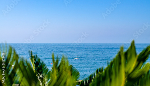 Palm leves and sea © Сергей Михайлов