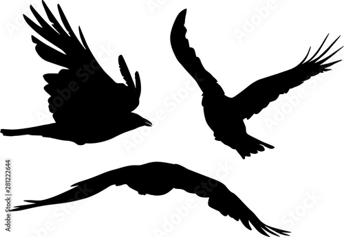 group of three crow silhouettes on white