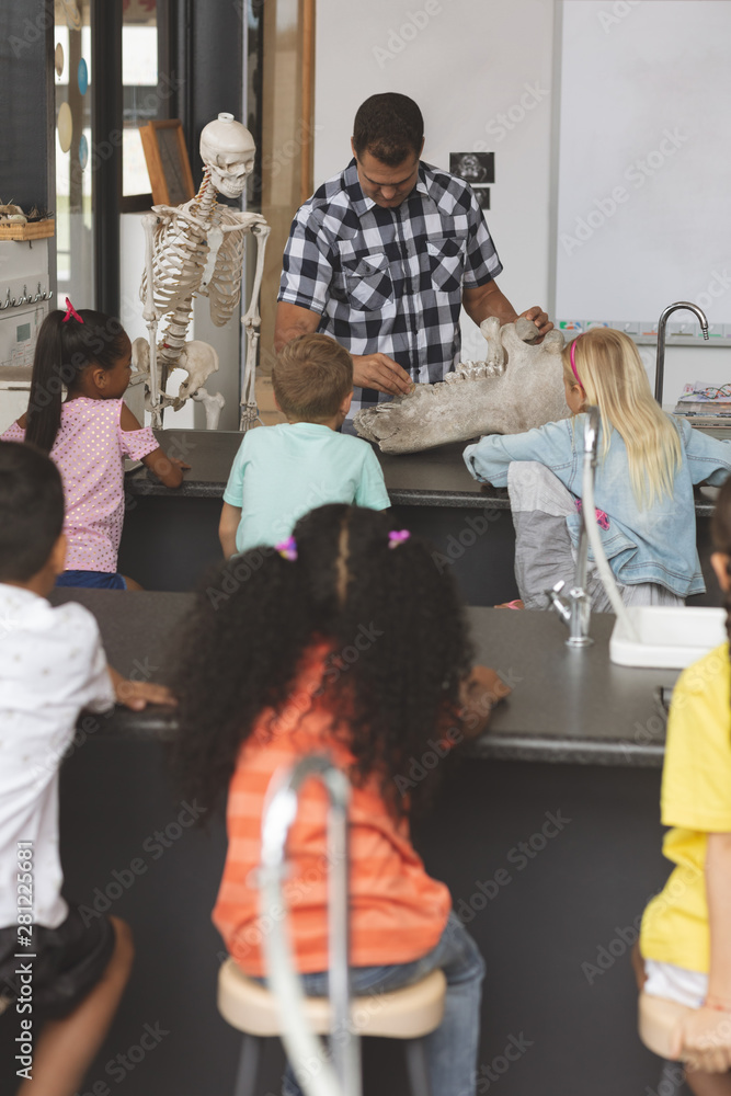 Teacher explaining at his pupils about human skeleton in classroom