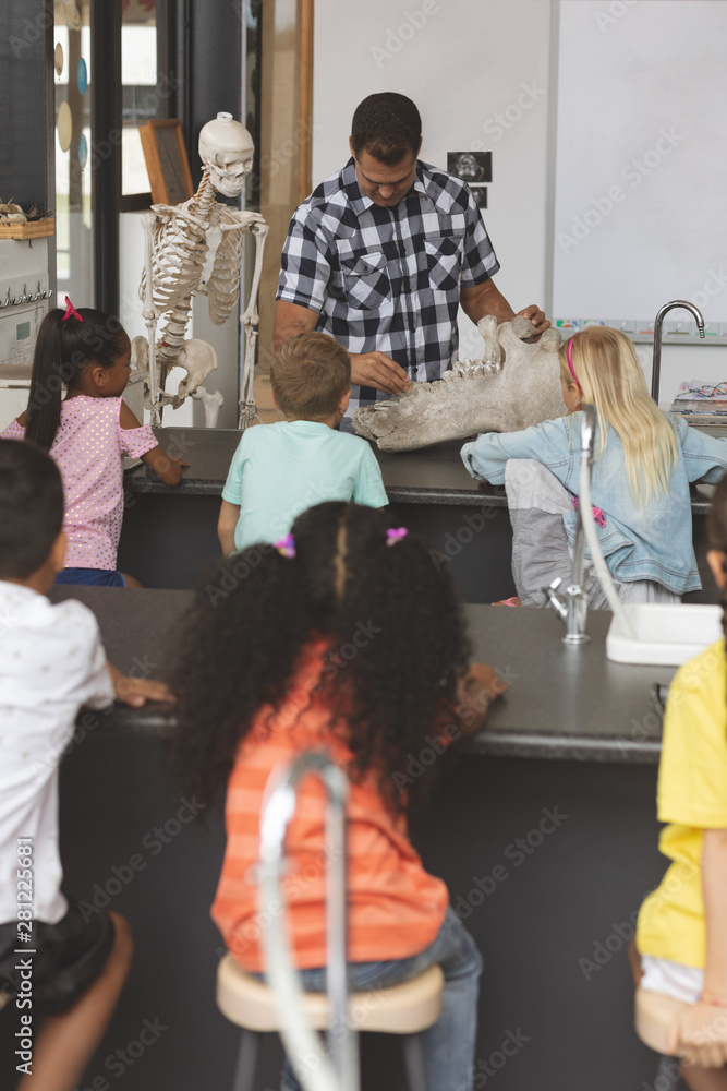 Fototapeta premium Teacher explaining at his pupils about human skeleton in classroom