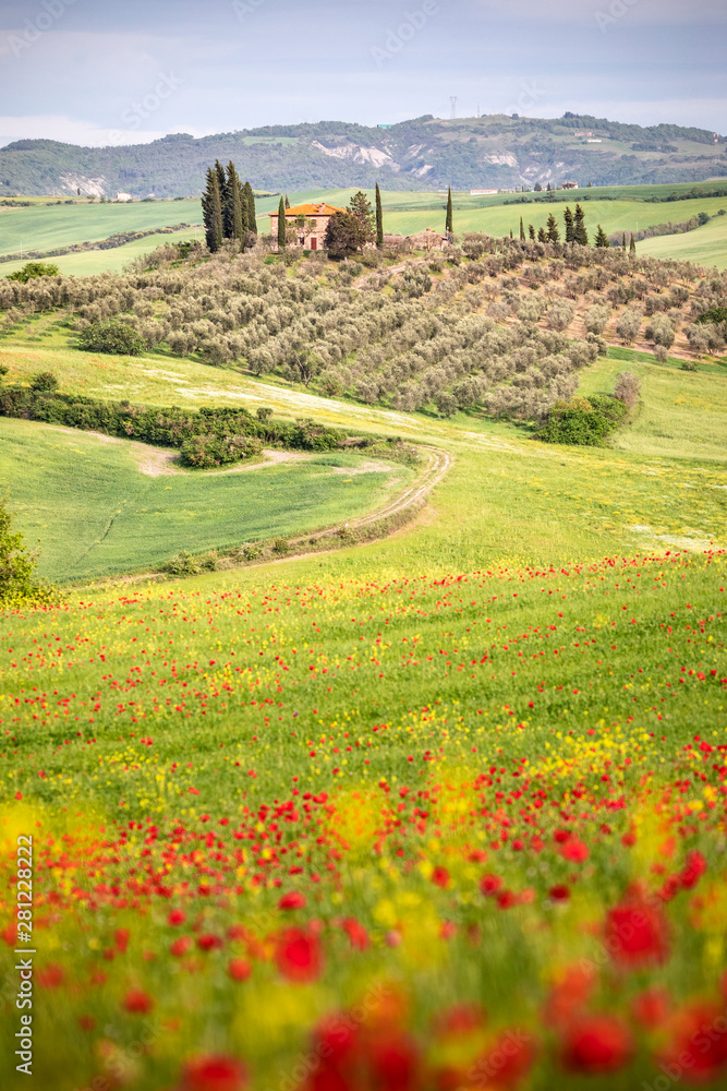 A farmhouse between Tuscan hills. Pienza, Val d'Orcia, Tuscany, Italy.