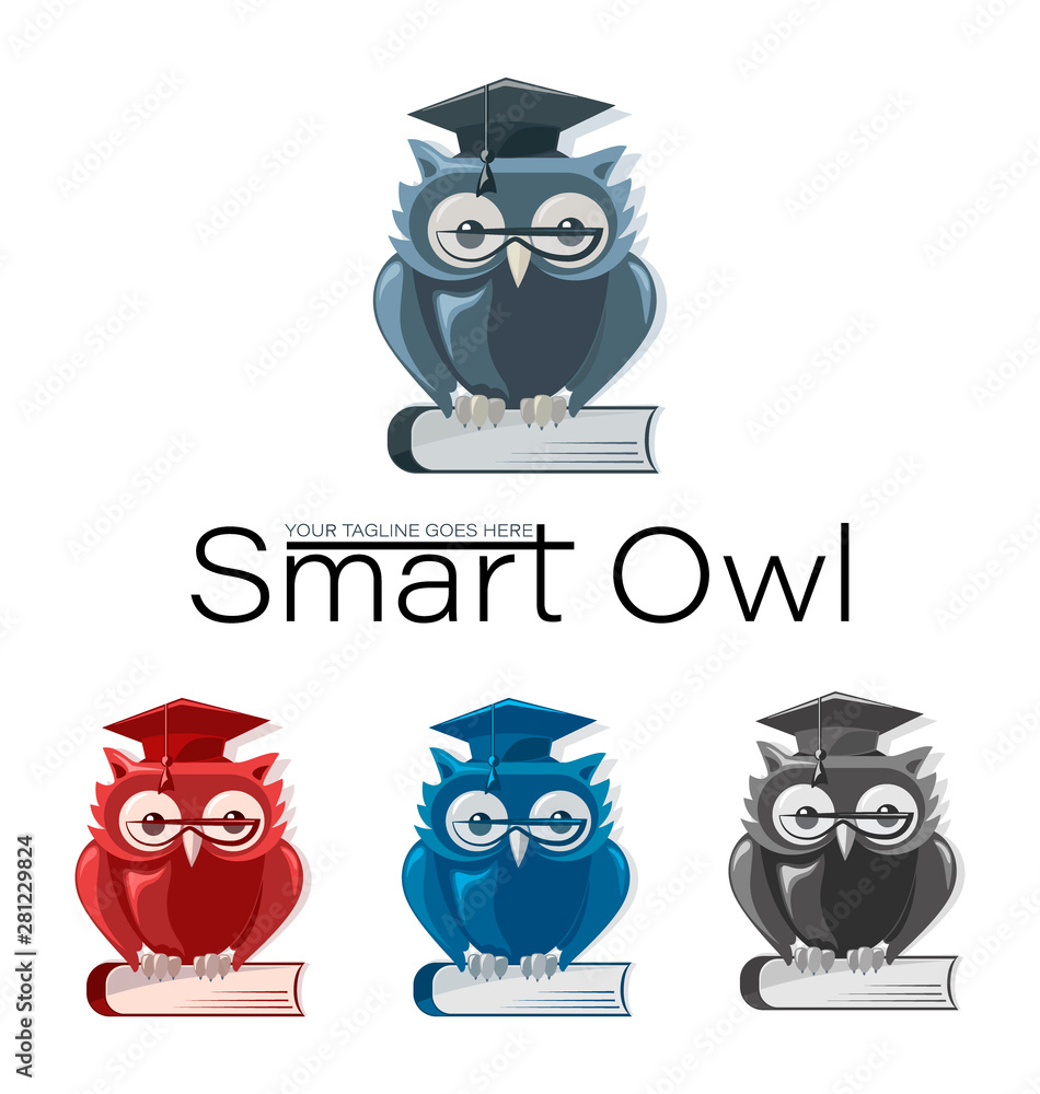 Vecteur Stock SMART OWL. Education icon, logo. Set. Owl in glasses and a  graduate hat on the book in four color combinations. | Adobe Stock