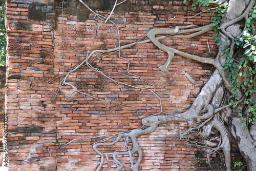 old brick wall of Ayuttaya public temple in historical park texture