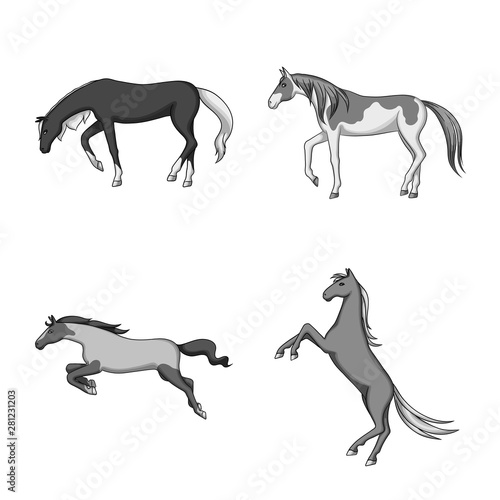 Vector illustration of farm and riding icon. Collection of farm and equestrian vector icon for stock.