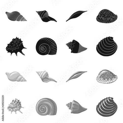 Vector design of animal and decoration sign. Set of animal and ocean vector icon for stock.