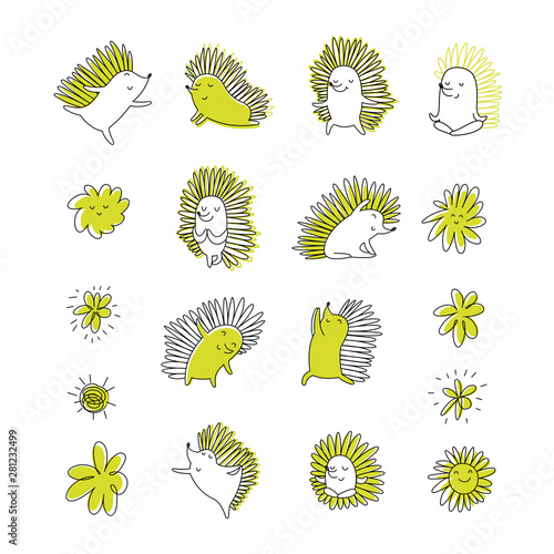 Yoga Hedgehog Vector set