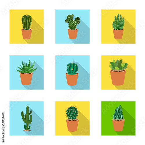 Isolated object of cactus and pot sign. Collection of cactus and cacti stock vector illustration.