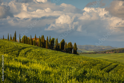 Fantastic sunny spring field in Italy, tuscany landscape morning foggy famous Cypress trees