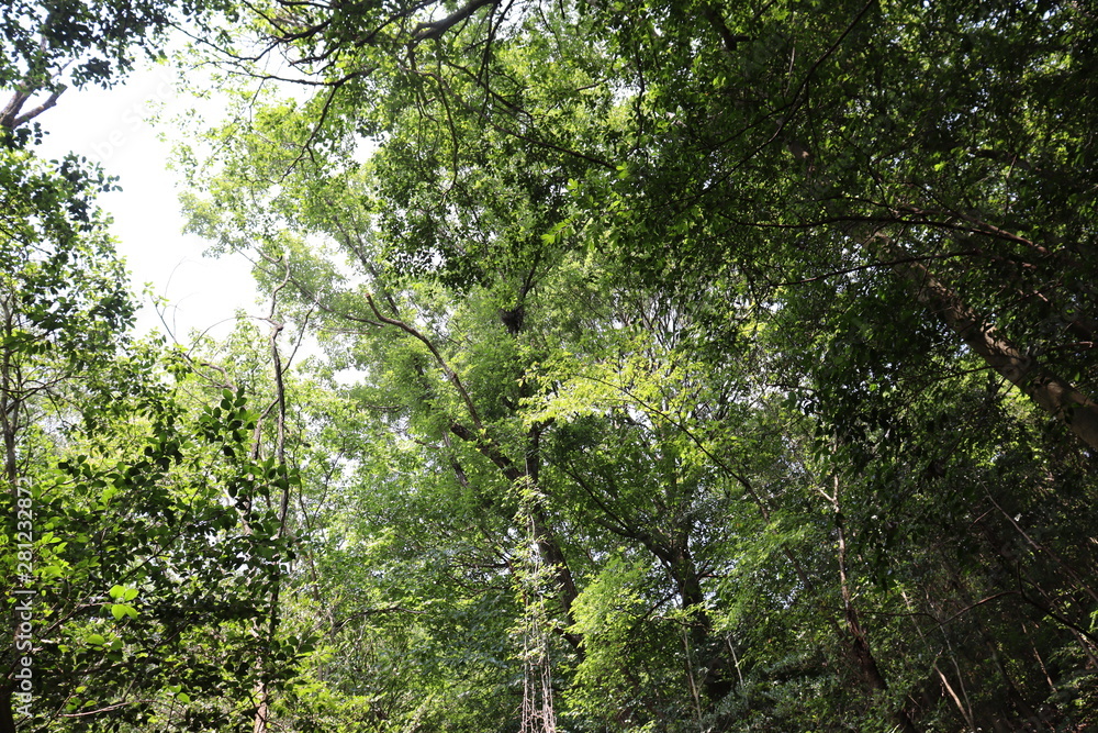 Fototapeta premium 愛知 風景