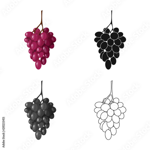 Vector design of bunch and grape logo. Collection of bunch and wine stock vector illustration.