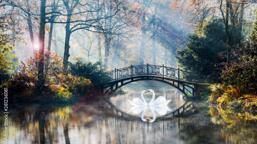 Heart shape of swans love mate for life in scenic view of misty pond autumn romantic landscape with beautiful old bridge in the garden with sun rays and fog. photo