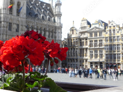 Grand Place historic square in the center of Brussels. Tourists walk in the center of the city.